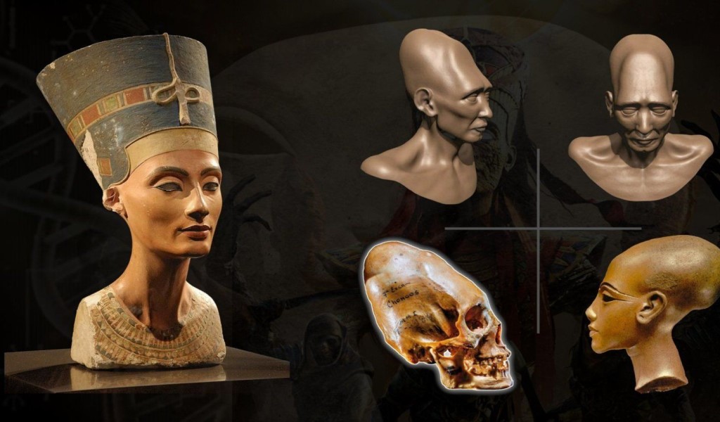 Homo capensis: elitè segreta, ibridi alieni o mito?