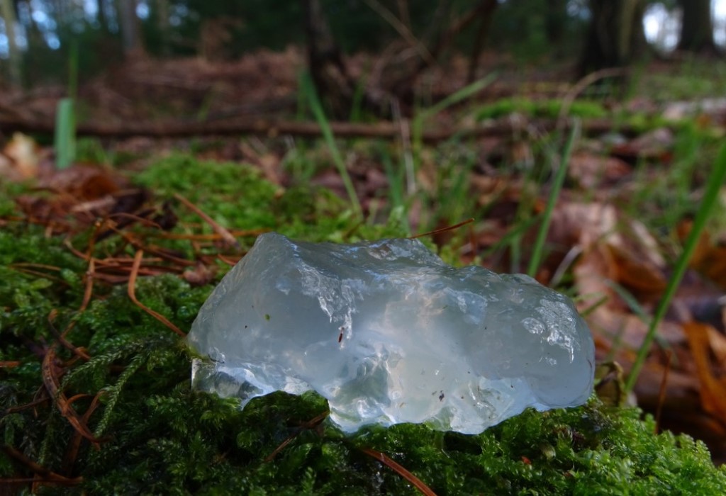 La gelatina di Oakville: un mistero piovuto dal cielo