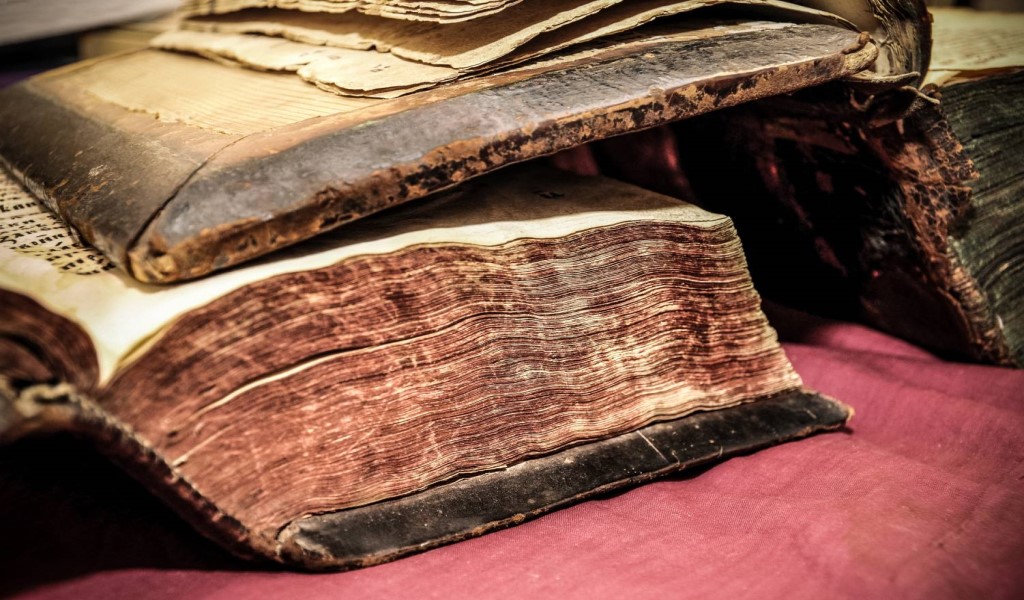 Il manoscritto di Puardus: un enigma in pelle umana