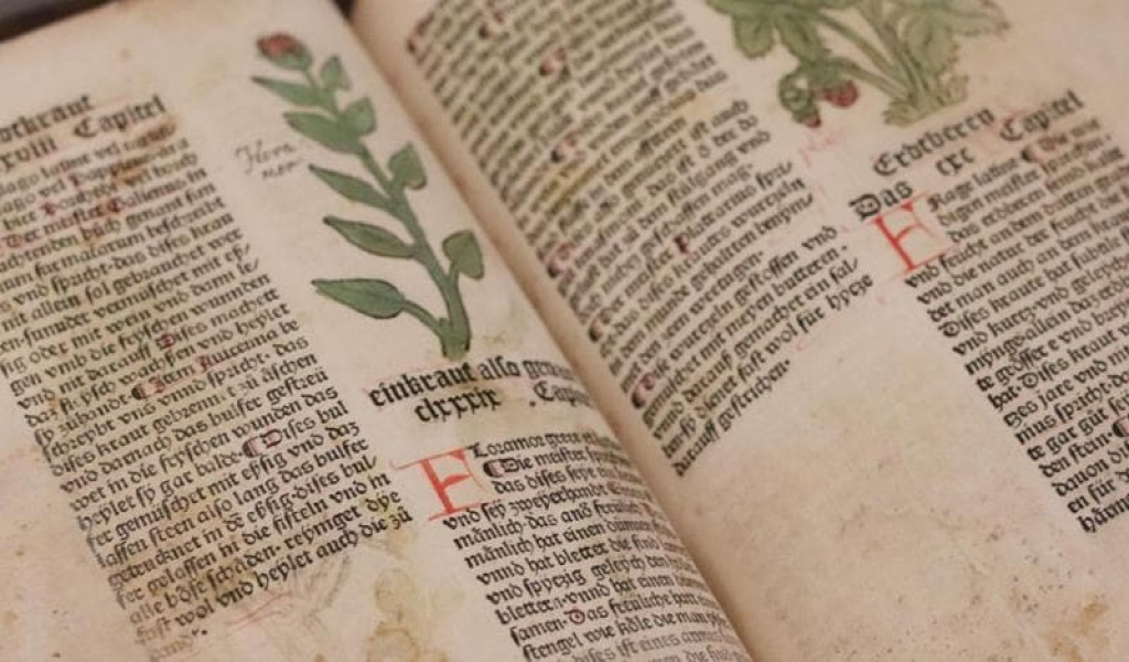 Manoscritto Voynich: decifrato dopo 600 anni