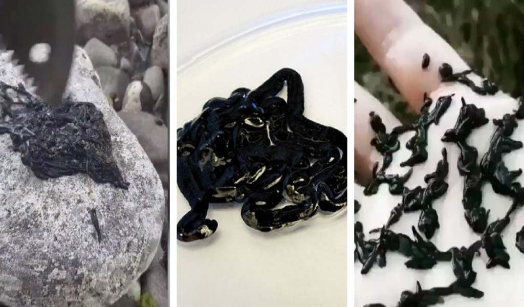 La natura del Black Goo: un enigma scientifico-VIDEO