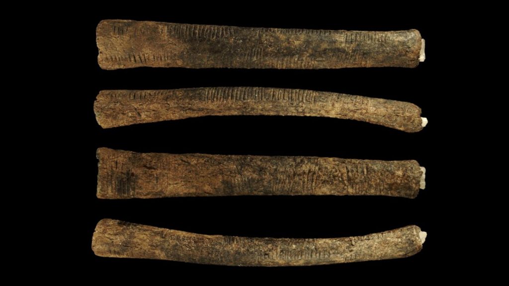 Rendering 3D dell'osso di Ishango. Royal Belgian Institute of Natural Sciences / Fair Use
