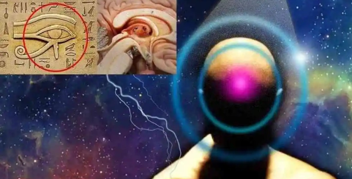 La ghiandola pineale: il potere del terzo occhio