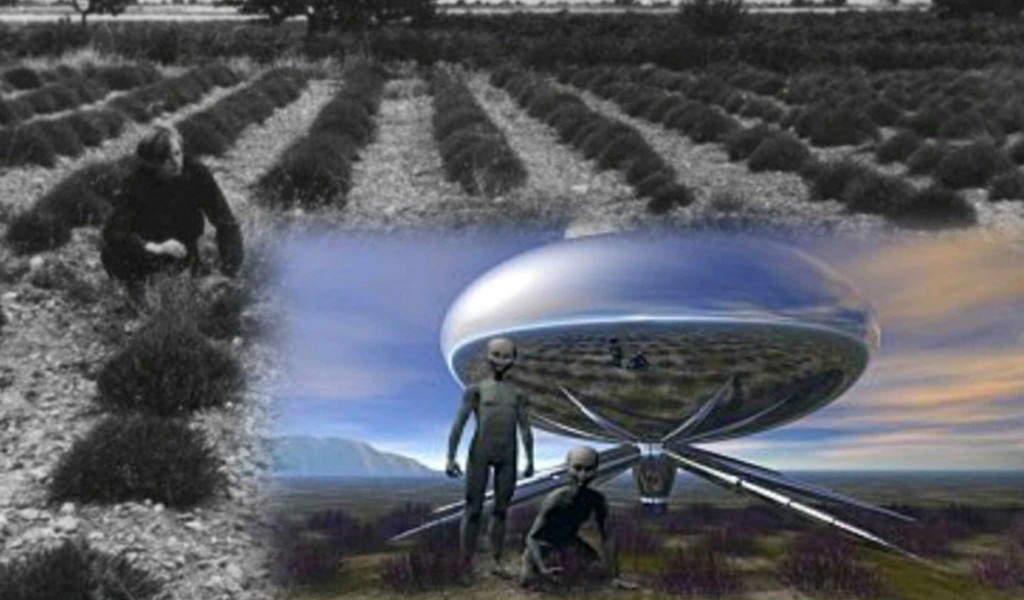 UFO a Valensole: un enigma irrisolto tra scienza e mistero