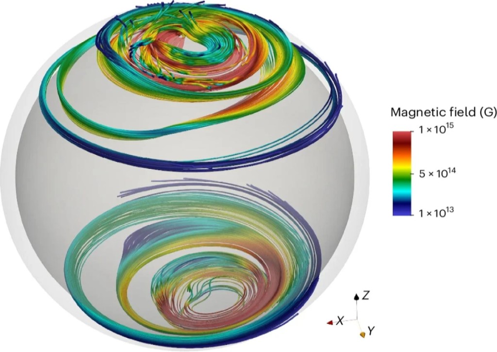Linee del campo magnetico all'interno della crosta NS all'inizio della simulazione magnetotermica NS, ovvero a t = 0. Credito: Nature Astronomy (2025)